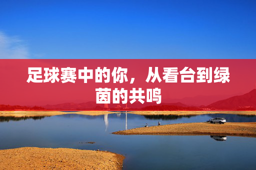 足球赛中的你,从看台到绿茵的共鸣