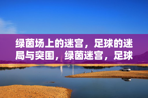 绿茵场上的迷宫，足球的迷局与突围，绿茵迷宫，足球的迷局与突围