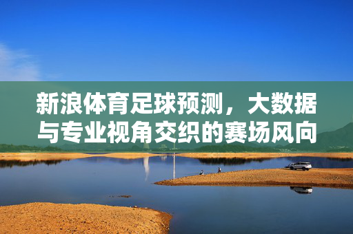 新浪体育足球预测，大数据与专业视角交织的赛场风向标，新浪体育足球预测，大数据与专业视角交织的赛场风向标