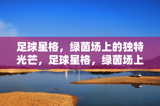 足球星格，绿茵场上的独特光芒，足球星格，绿茵场上的独特光芒