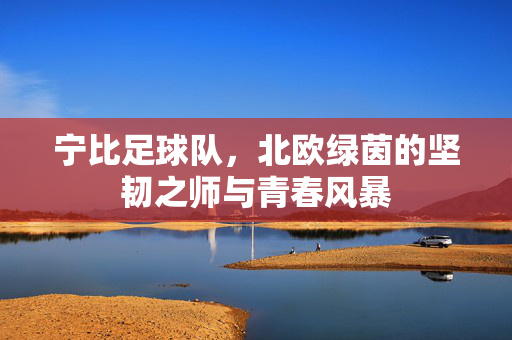 宁比足球队，北欧绿茵的坚韧之师与青春风暴