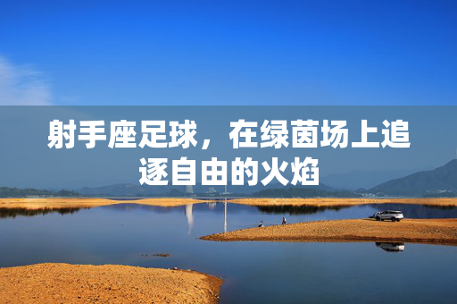 射手座足球，在绿茵场上追逐自由的火焰