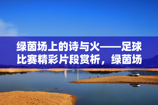 绿茵场上的诗与火——足球比赛精彩片段赏析，绿茵场上的诗与火——足球比赛精彩片段赏析