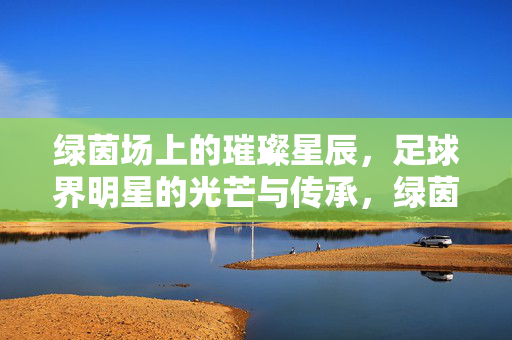 绿茵场上的璀璨星辰，足球界明星的光芒与传承，绿茵星辰，光芒与传承