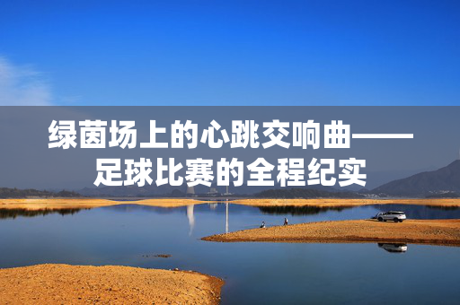 绿茵场上的心跳交响曲——足球比赛的全程纪实