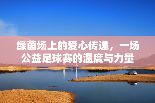 绿茵场上的爱心传递,一场公益足球赛的温度与力量