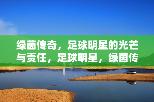 绿茵传奇，足球明星的光芒与责任，足球明星，绿茵传奇的光芒与责任