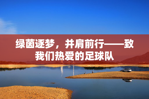 绿茵逐梦，并肩前行——致我们热爱的足球队