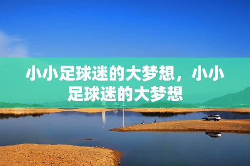 小小足球迷的大梦想，小小足球迷的大梦想