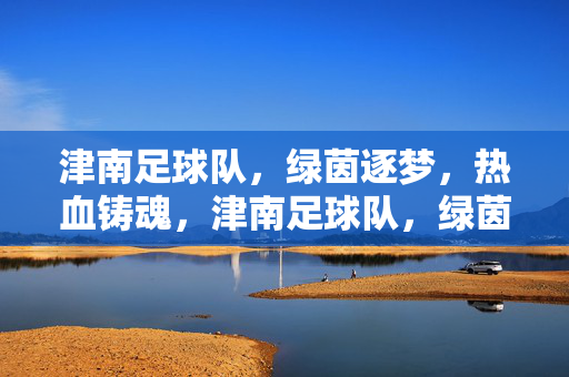 津南足球队，绿茵逐梦，热血铸魂，津南足球队，绿茵逐梦，热血铸魂