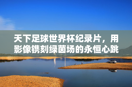 天下足球世界杯纪录片，用影像镌刻绿茵场的永恒心跳，天下足球，影像镌刻绿茵永恒心跳