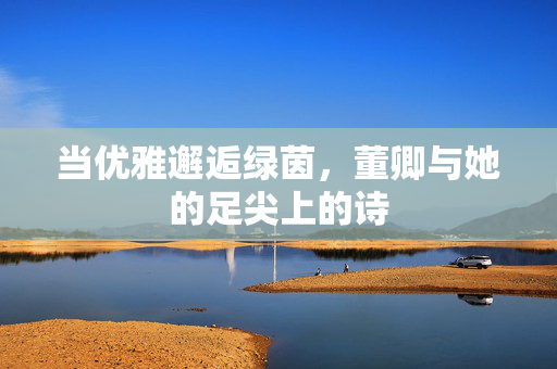 当优雅邂逅绿茵，董卿与她的足尖上的诗
