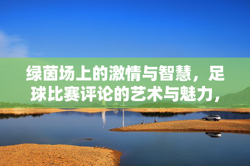 绿茵场上的激情与智慧,足球比赛评论的艺术与魅力,足球评论的艺术魅力,绿茵激情与智慧的赛场交响