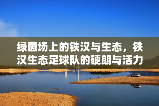 绿茵场上的铁汉与生态，铁汉生态足球队的硬朗与活力之路