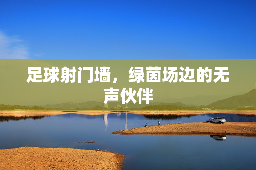足球射门墙，绿茵场边的无声伙伴