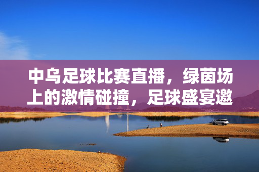 中乌足球比赛直播，绿茵场上的激情碰撞，足球盛宴邀您共赏，中乌足球直播，绿茵激情碰撞，足球盛宴邀您共赏