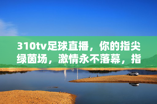 310tv足球直播，你的指尖绿茵场，激情永不落幕，指尖绿茵场，激情永不落幕