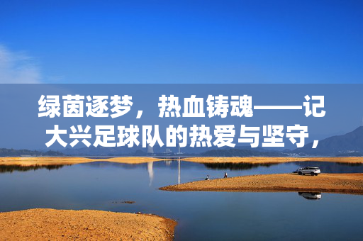 绿茵逐梦,热血铸魂——记大兴足球队的热爱与坚守,大兴足球队,绿茵逐梦,热血铸魂