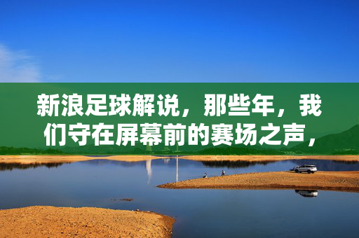 新浪足球解说，那些年，我们守在屏幕前的赛场之声，新浪足球解说，那些年，守在屏幕前的赛场之声