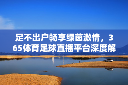 足不出户畅享绿茵激情,365体育足球直播平台深度解析,足不出户畅享绿茵激情,365体育足球直播平台深度解析