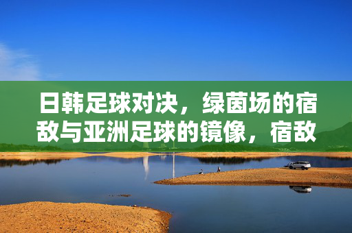 日韩足球对决,绿茵场的宿敌与亚洲足球的镜像,宿敌镜像,日韩足球对决