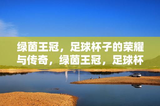 绿茵王冠，足球杯子的荣耀与传奇，绿茵王冠，足球杯的荣耀与传奇