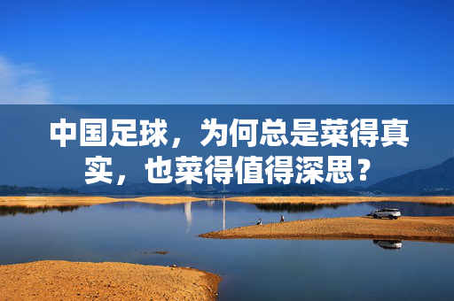 中国足球,为何总是菜得真实,也菜得值得深思?