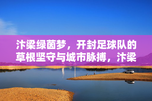 汴梁绿茵梦，开封足球队的草根坚守与城市脉搏，汴梁绿茵梦，草根坚守中的城市脉搏