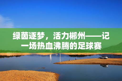 绿茵逐梦，活力郴州——记一场热血沸腾的足球赛