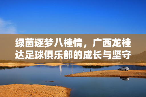 绿茵逐梦八桂情，广西龙桂达足球俱乐部的成长与坚守，绿茵逐梦八桂情，广西龙桂达的成长与坚守