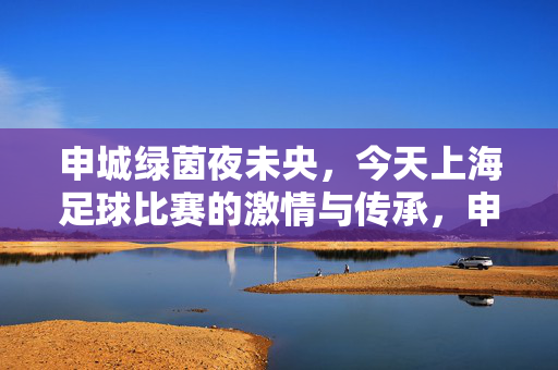 申城绿茵夜未央,今天上海足球比赛的激情与传承,申城绿茵夜未央,激情与传承的赛场