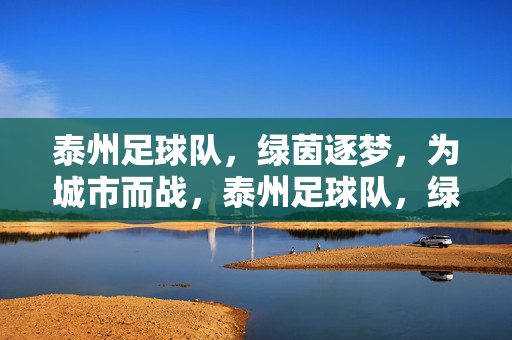 泰州足球队,绿茵逐梦,为城市而战,泰州足球队,绿茵逐梦为城战
