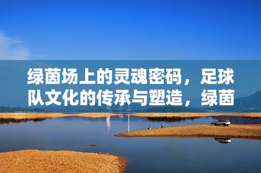 绿茵场上的灵魂密码，足球队文化的传承与塑造，绿茵场上的灵魂密码，足球队文化的传承与塑造