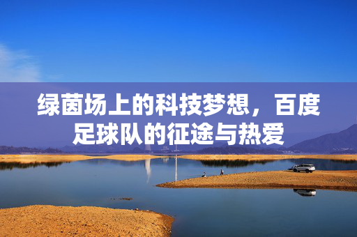 绿茵场上的科技梦想，百度足球队的征途与热爱