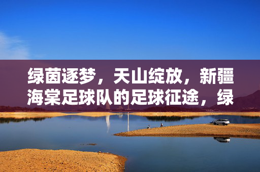 绿茵逐梦，天山绽放，新疆海棠足球队的足球征途，绿茵逐梦天山，海棠绽放征途