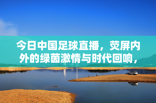 今日中国足球直播,荧屏内外的绿茵激情与时代回响,绿茵激情与时代回响,今日中国足球直播