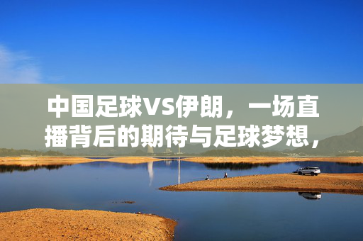 中国足球VS伊朗，一场直播背后的期待与足球梦想，中国足球VS伊朗，直播对决中的期待与足球梦想