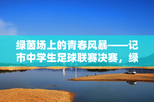 绿茵场上的青春风暴——记市中学生足球联赛决赛，绿茵青春风暴——市中学生足球联赛决赛