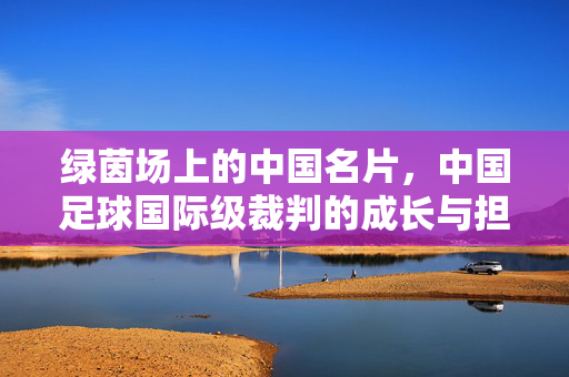 绿茵场上的中国名片，中国足球国际级裁判的成长与担当，绿茵场上的中国名片，国际级裁判的成长与担当