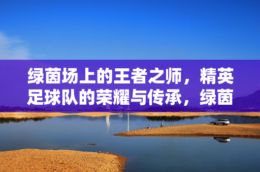 绿茵场上的王者之师，精英足球队的荣耀与传承，绿茵王者之师，荣耀与传承