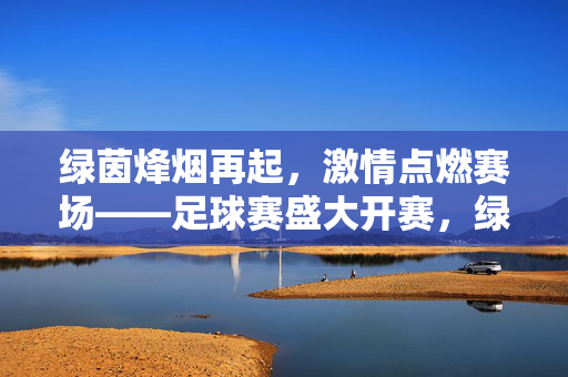 绿茵烽烟再起，激情点燃赛场——足球赛盛大开赛，绿茵烽烟再起，足球赛盛大开赛
