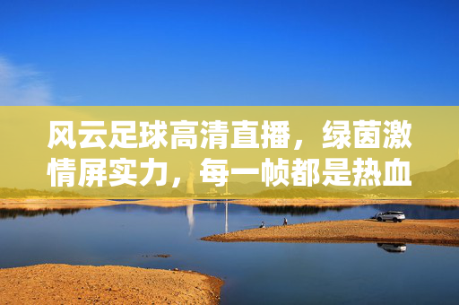 风云足球高清直播，绿茵激情屏实力，每一帧都是热血沸腾，风云足球高清直播，绿茵帧帧热血沸腾