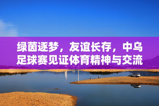绿茵逐梦，友谊长存，中乌足球赛见证体育精神与交流，绿茵逐梦友谊长存，中乌足球赛见证体育精神与交流
