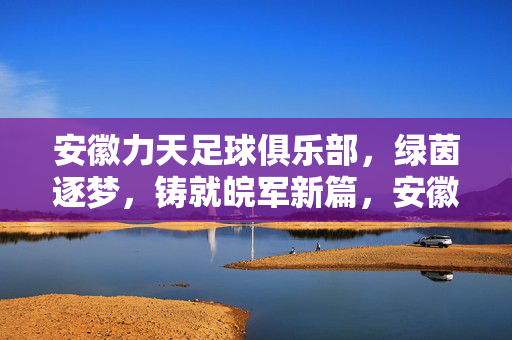 安徽力天足球俱乐部，绿茵逐梦，铸就皖军新篇，安徽力天，绿茵逐梦铸皖军新篇