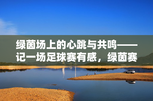 绿茵场上的心跳与共鸣——记一场足球赛有感，绿茵赛场的心跳共鸣