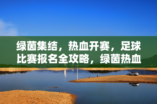 绿茵集结，热血开赛，足球比赛报名全攻略，绿茵热血集结，足球比赛报名全攻略