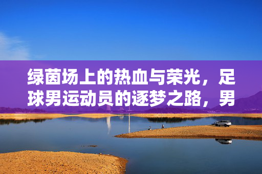 绿茵场上的热血与荣光，足球男运动员的逐梦之路，男足逐梦，绿茵场上的热血与荣光