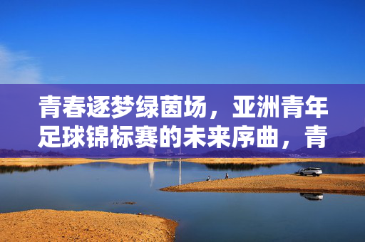 青春逐梦绿茵场，亚洲青年足球锦标赛的未来序曲，青春逐梦绿茵场，亚洲青年足球锦标赛序曲