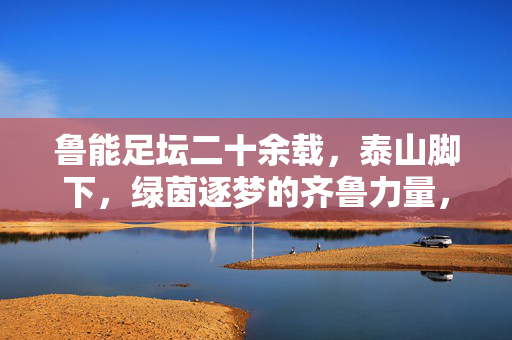 鲁能足坛二十余载,泰山脚下,绿茵逐梦的齐鲁力量,鲁能泰山,齐鲁绿茵二十余载逐梦
