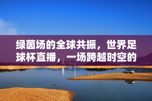 绿茵场的全球共振，世界足球杯直播，一场跨越时空的激情盛宴，全球共振，世界杯直播的跨越时空激情盛宴